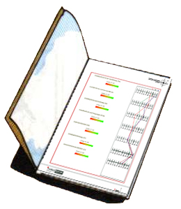 Assessment